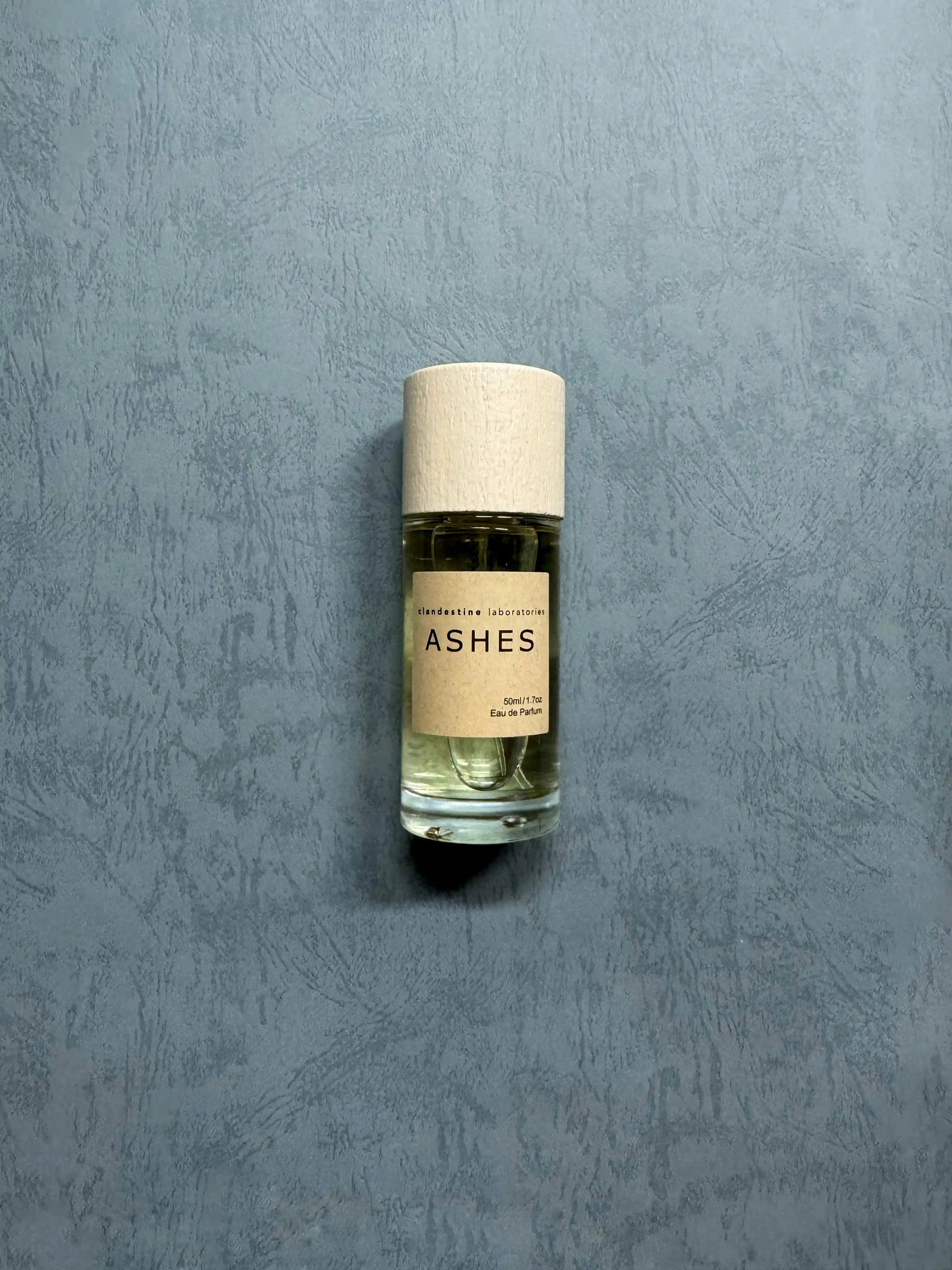 寧靜:Clandestine Laboratories Ashes 死灰