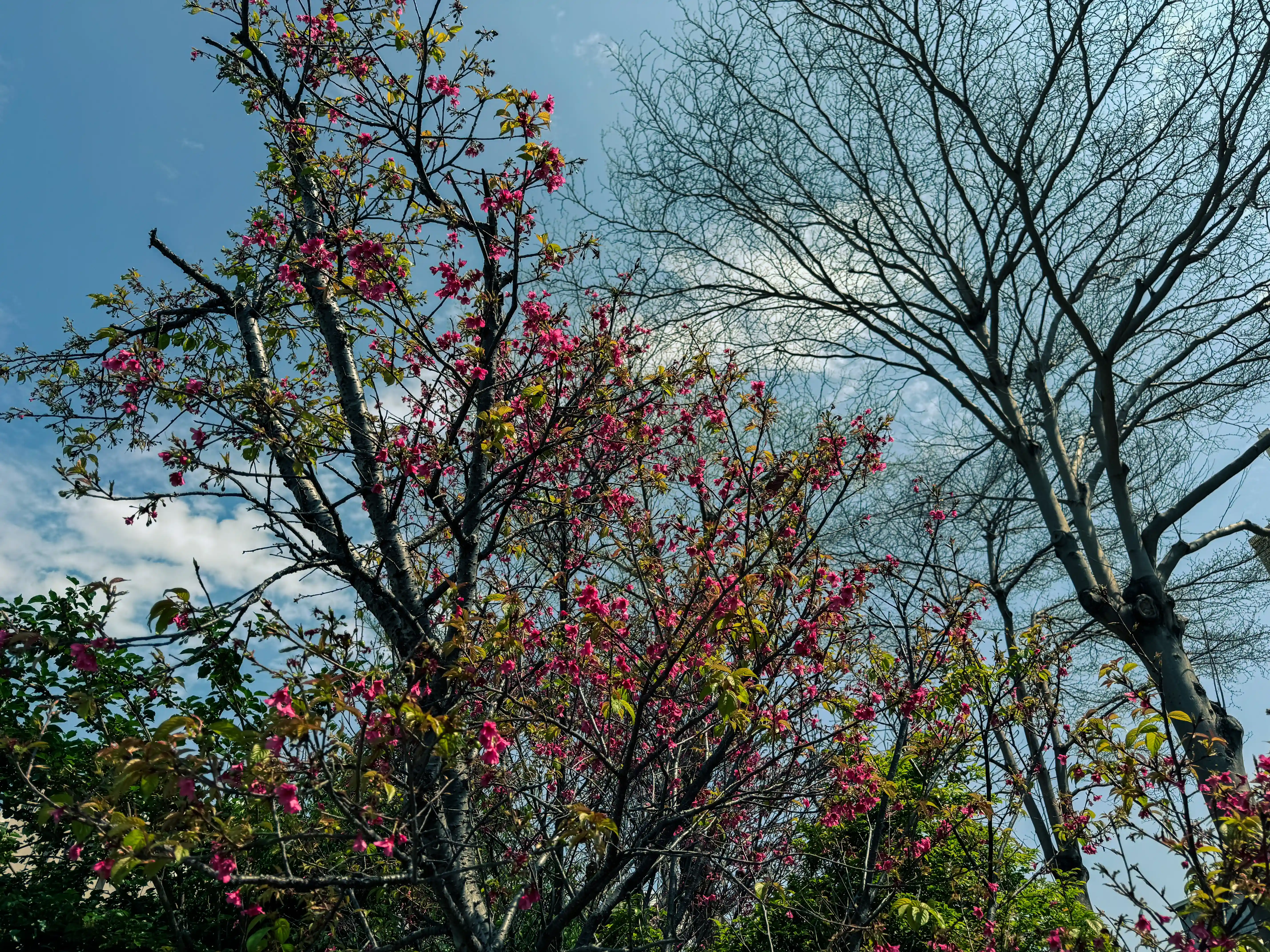 暗香浮動:Darren Alan 12支品項心得紀錄