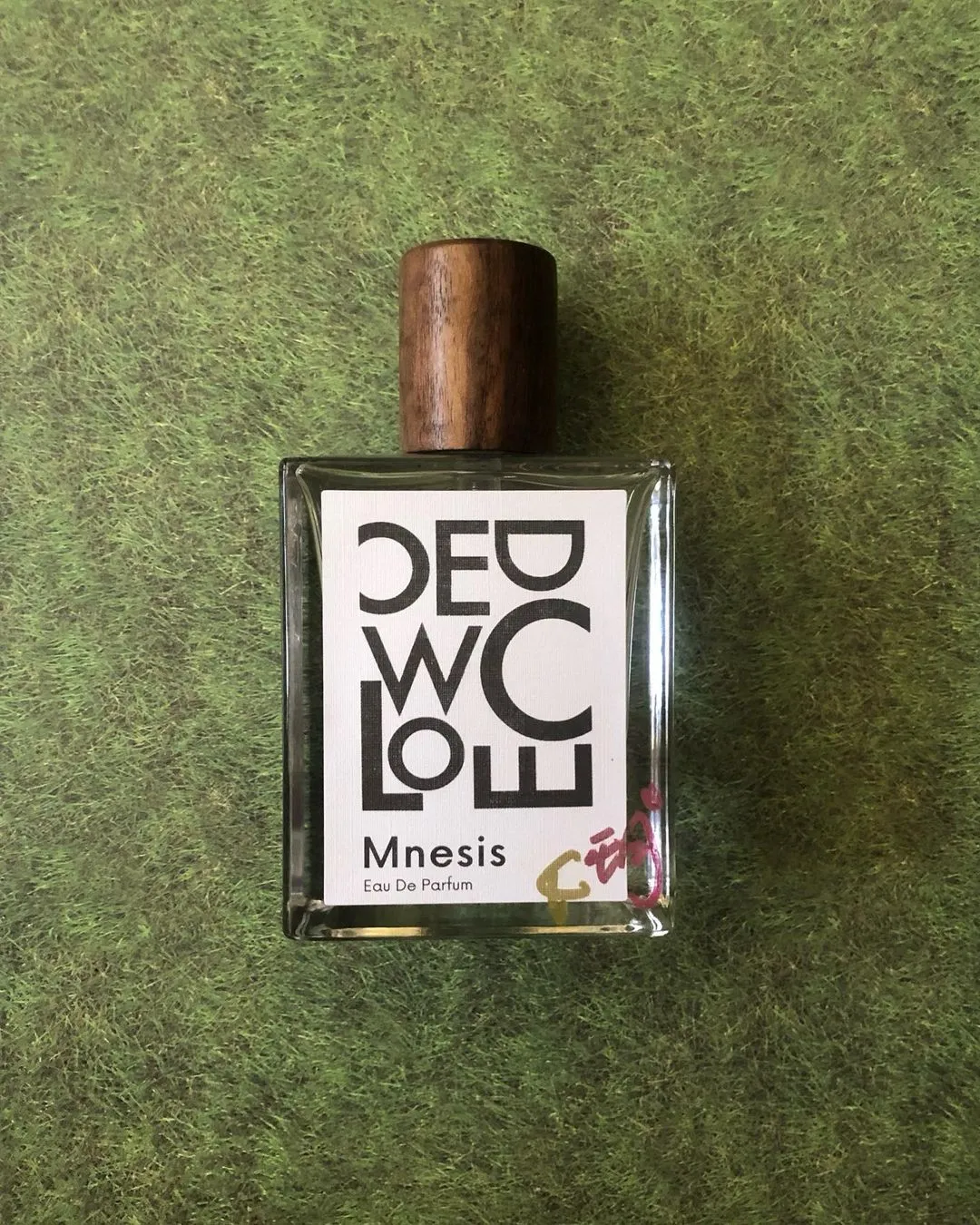 汲水烹茶:OCO 全系列+Mnesis 明前 心得